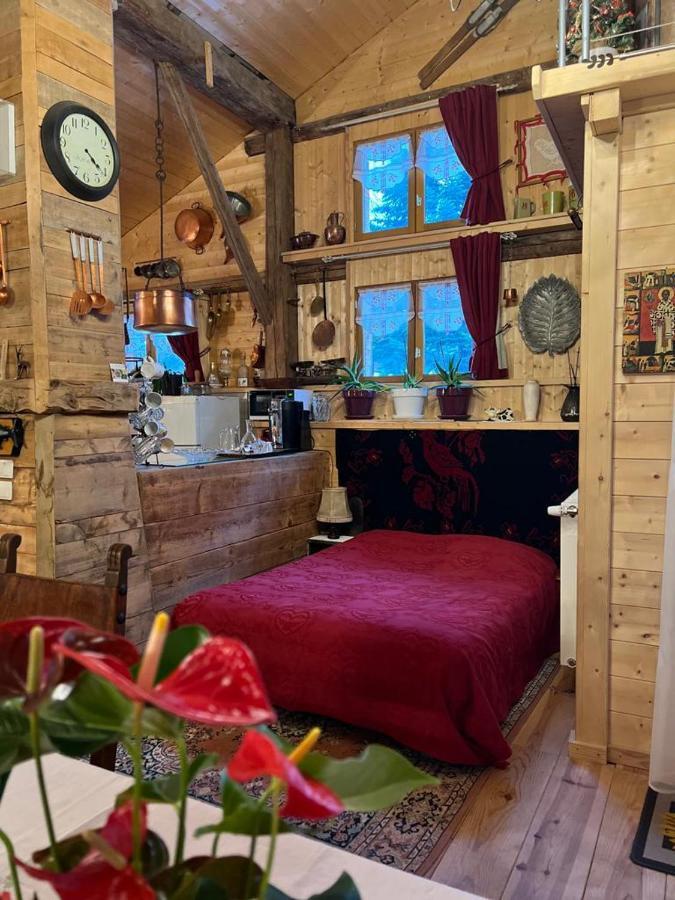 Ferme Savoyarde Renovee 2 Chambres Les Carroz d'Araches Dış mekan fotoğraf